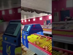 फार्मरोब 99.8% सटीकता बुद्धिमान अंडा काउंटर 25W 220V 50HZ ISO9001 अनुमोदित