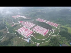 पोल्ट्री बैटरी केज सिस्टम