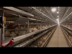 परत प्रणाली