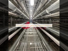 लागत प्रभावी परत चिकन पिंजरे प्रणाली Q235 स्टील