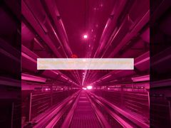 पाकिस्तानी फार्मों के लिए 80000 हाइजीनिक लेयर चिकन केज सिस्टम