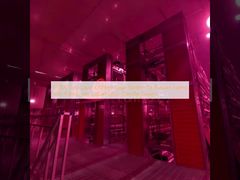 रूसी फार्मों के लिए 60000 सुरक्षित परत चिकन पिंजरे प्रणाली जिसमें प्रति सेल 9 पक्षी हैं और पर्यावरण के अनुकूल डिजाइन है